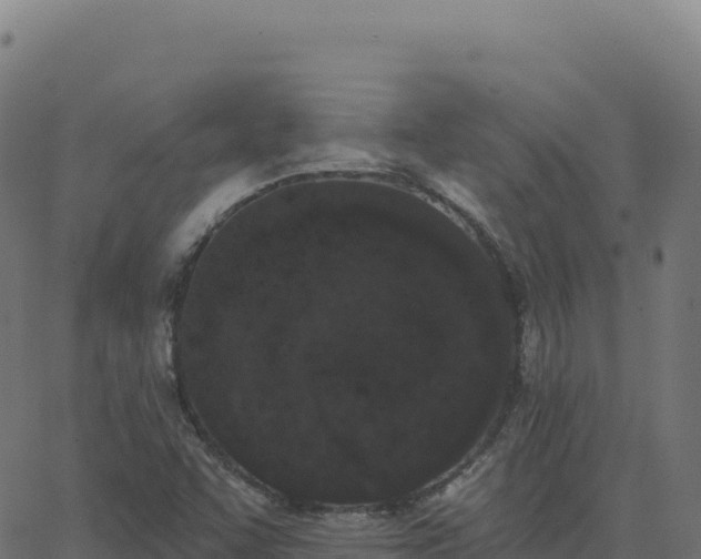 X0000062861455200601201716