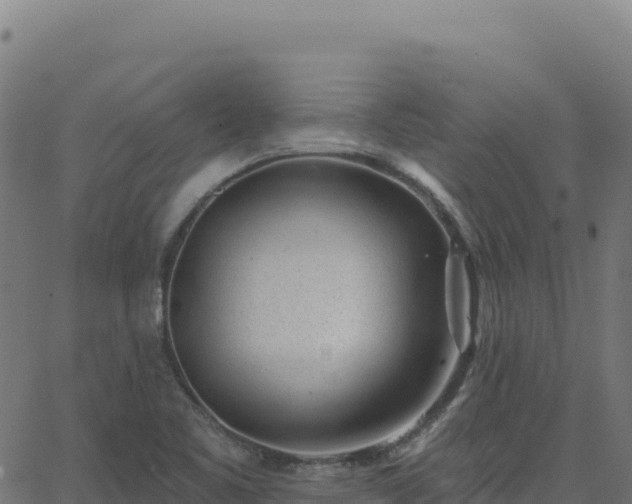 X0000062861461200601201716