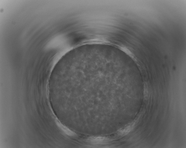 X0000062861474200601201716