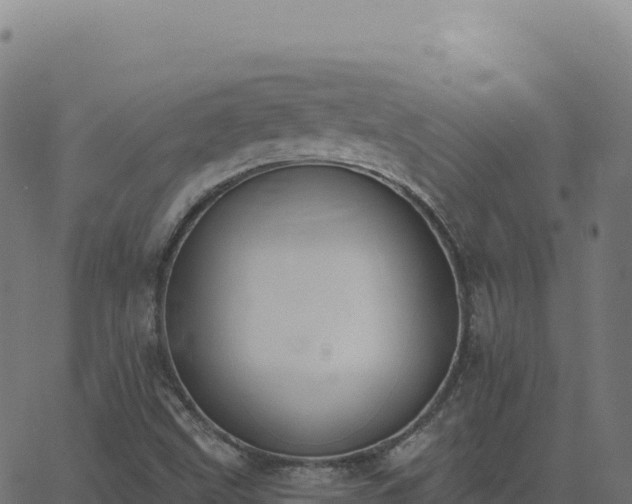 X0000062861499200601201715