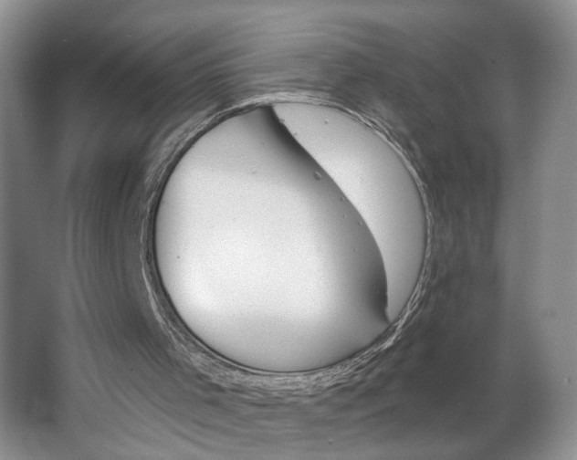 X0000062860001200601271542