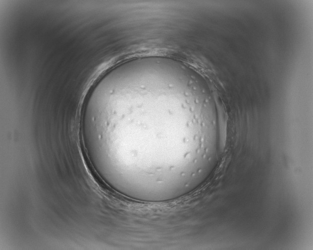 X0000062860003200601271542