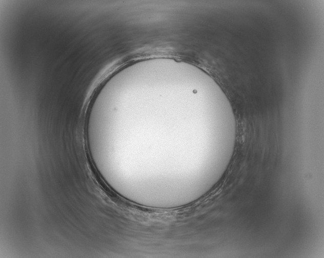 X0000062860004200601271542