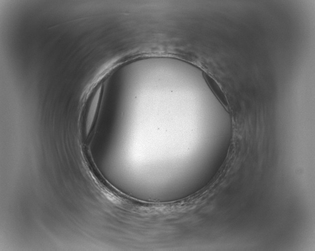 X0000062860005200601271542