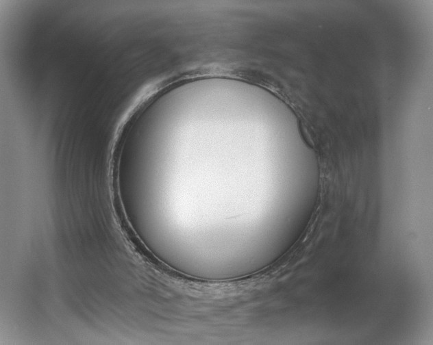 X0000062860006200601271542