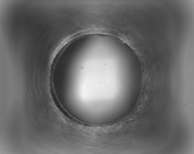 X0000062860007200601271542