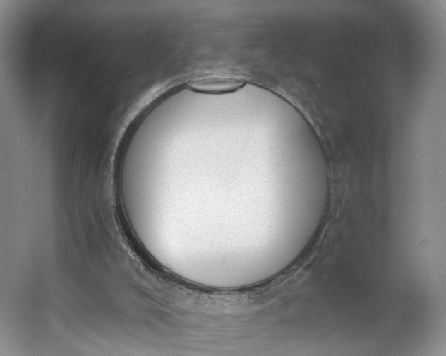 X0000062860008200601271542