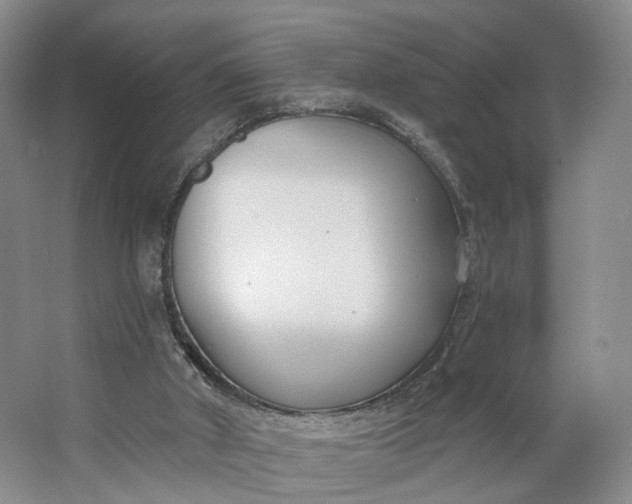 X0000062860010200601271542