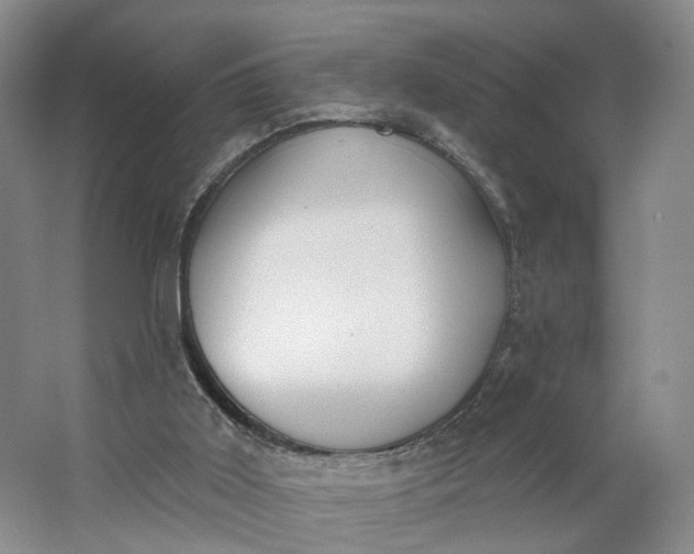 X0000062860011200601271542