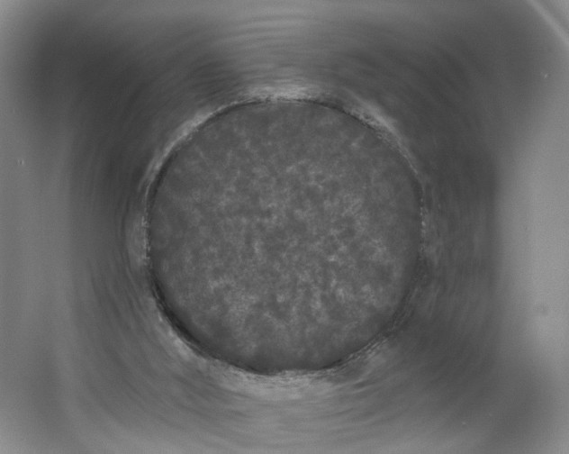 X0000062860012200601271542