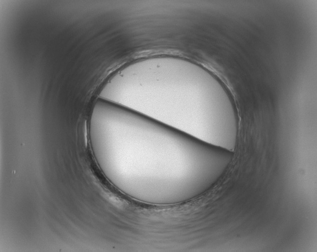 X0000062860013200601271542