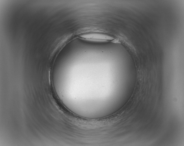 X0000062860014200601271542