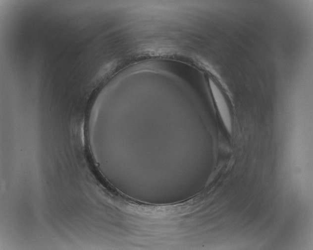 X0000062860019200601271542