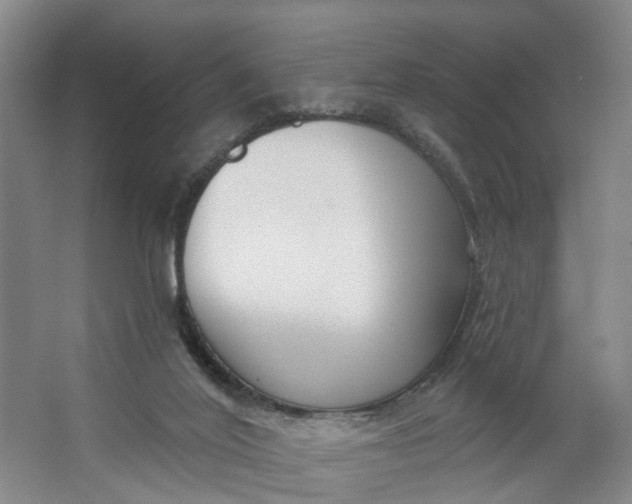 X0000062860020200601271542