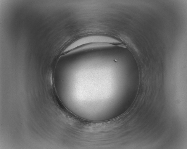 X0000062860021200601271542