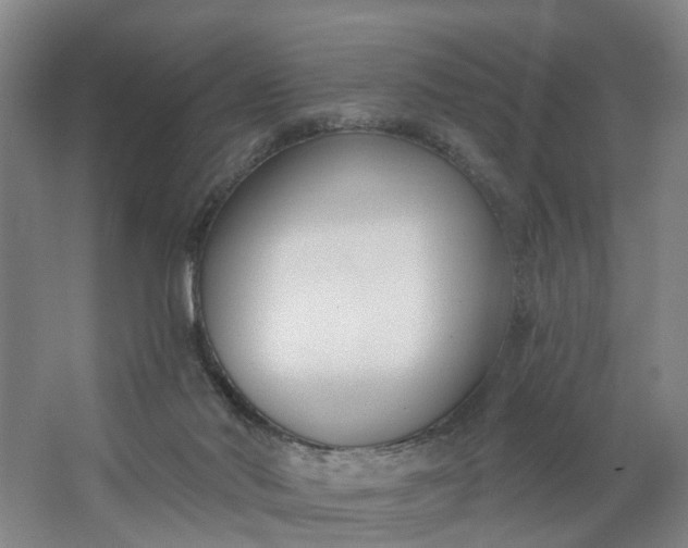 X0000062860022200601271542