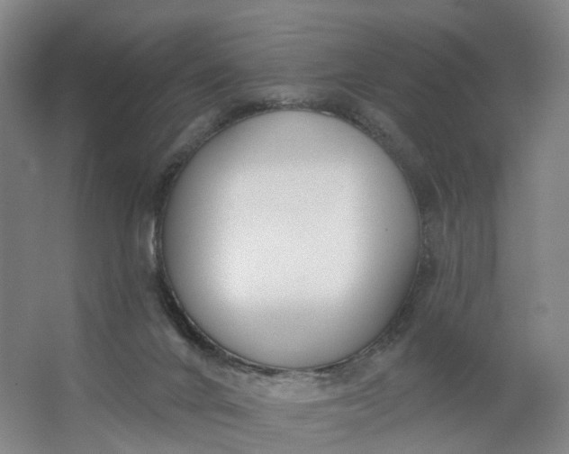 X0000062860024200601271542