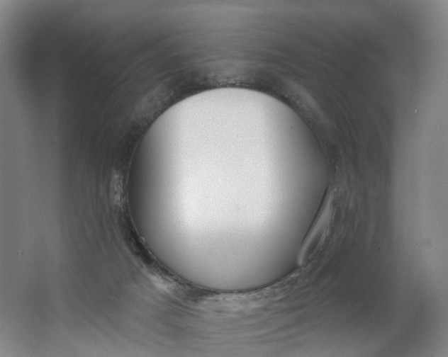 X0000062860025200601271541