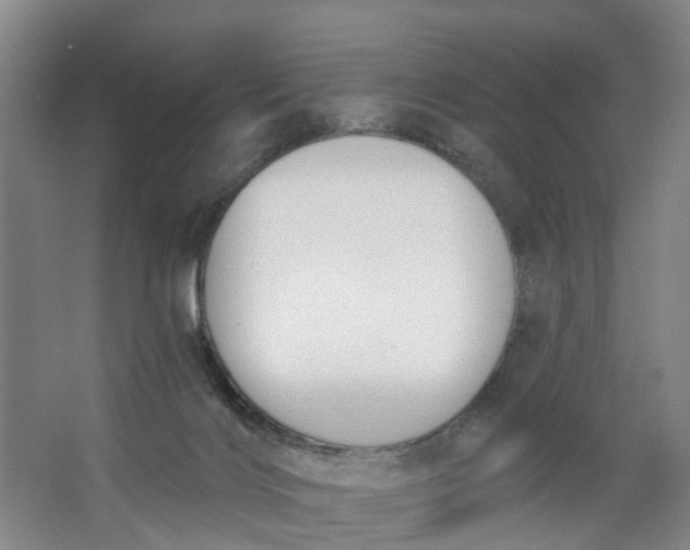 X0000062860028200601271541