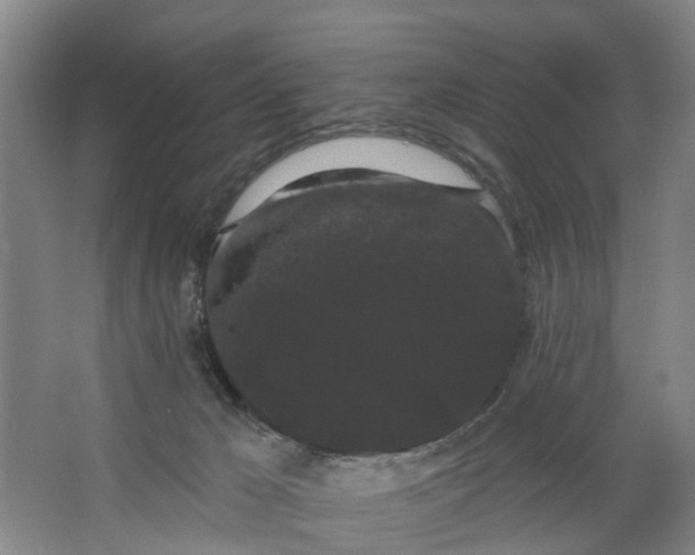 X0000062860029200601271541