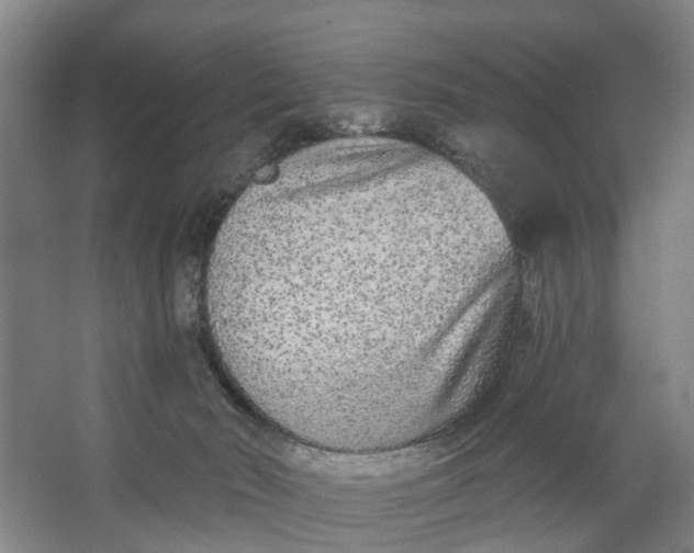 X0000062860030200601271541