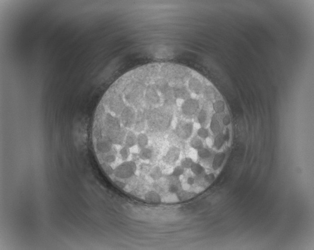X0000062860032200601271541