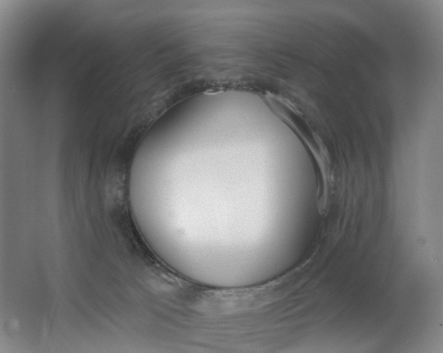 X0000062860033200601271541