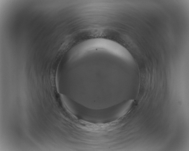 X0000062860035200601271541