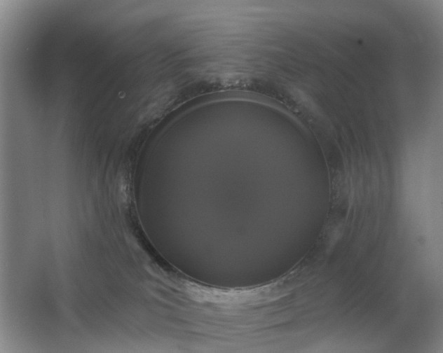 X0000062860039200601271541