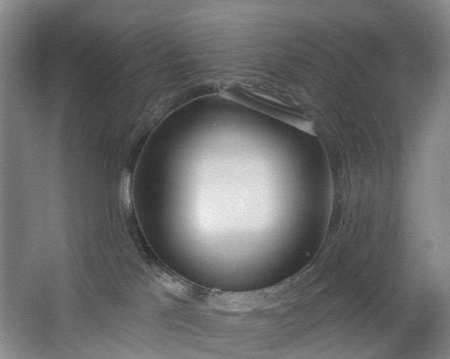X0000062860041200601271541