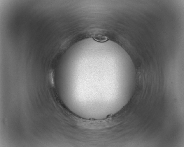X0000062860042200601271541