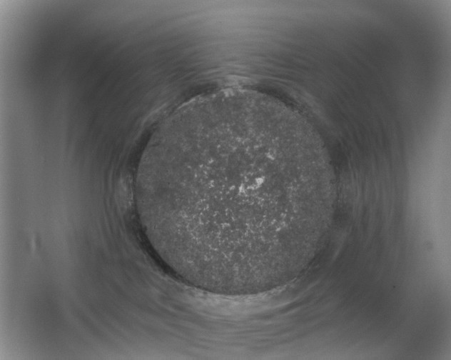 X0000062860043200601271541