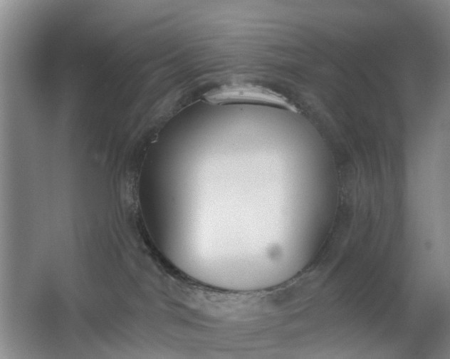 X0000062860044200601271541