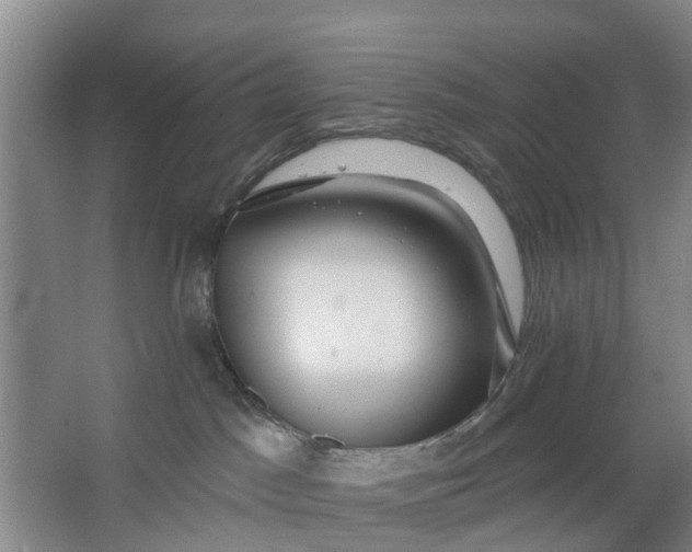 X0000062860045200601271541
