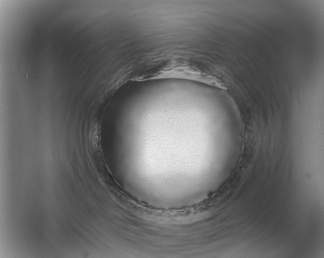 X0000062860046200601271541