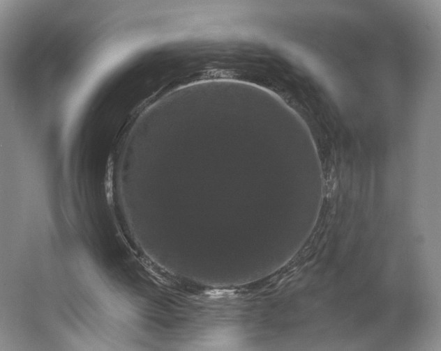 X0000062860052200601271540