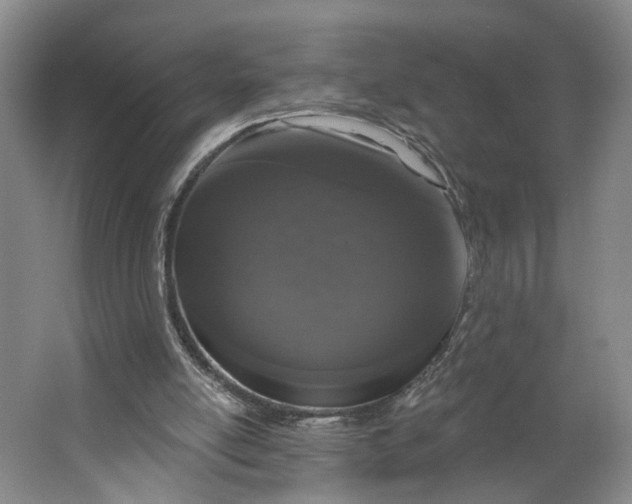 X0000062860054200601271540