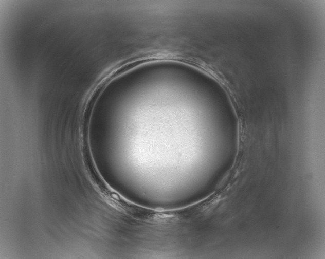 X0000062860055200601271540