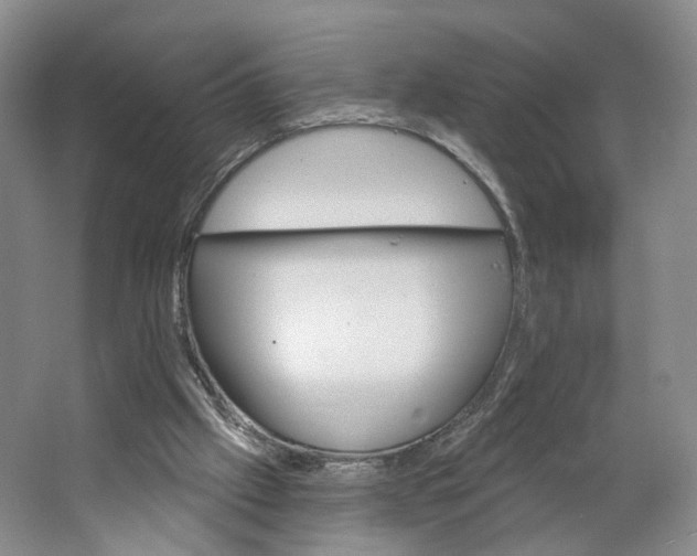 X0000062860057200601271540