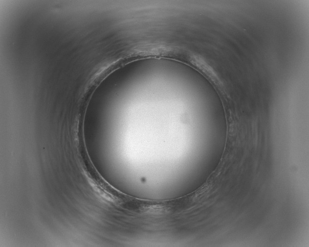 X0000062860058200601271540