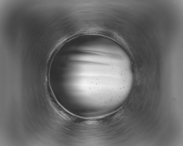 X0000062860059200601271540