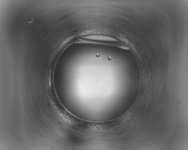 X0000062860062200601271541