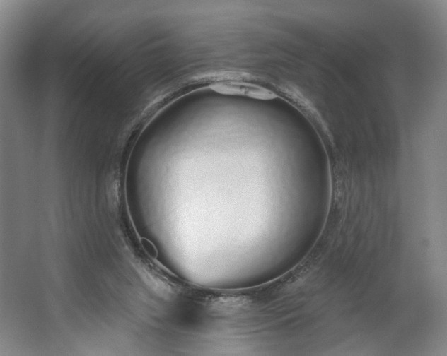 X0000062860063200601271541