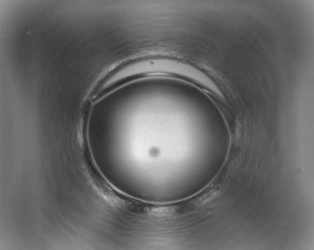 X0000062860064200601271541
