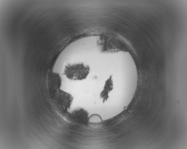 X0000062860065200601271541