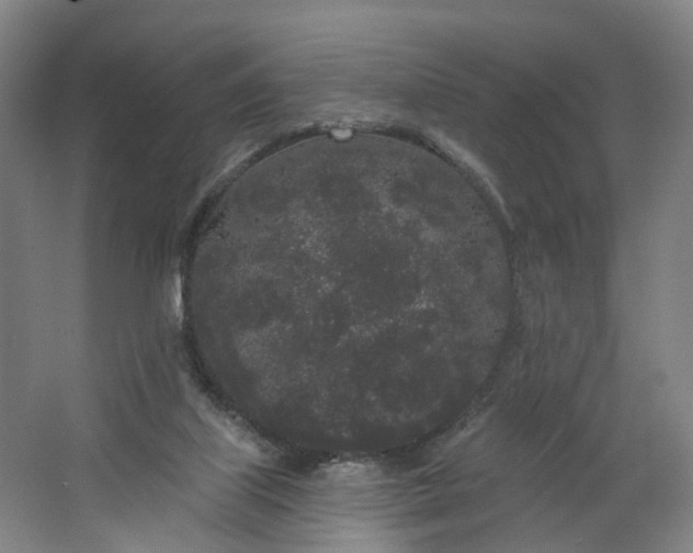 X0000062860067200601271541