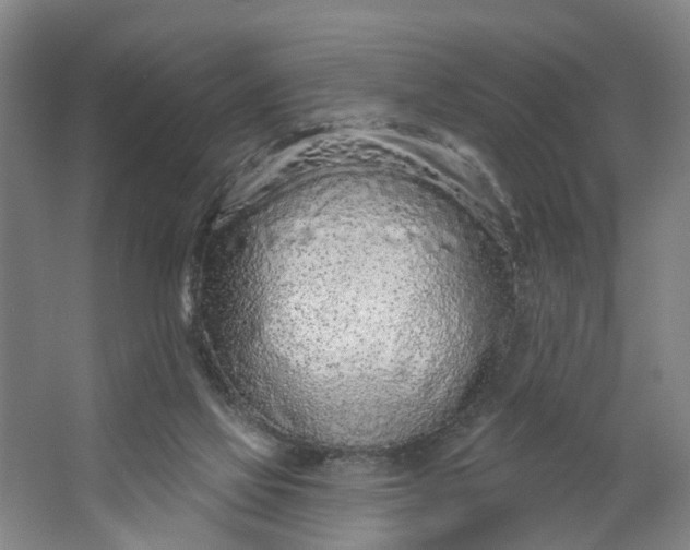 X0000062860069200601271541