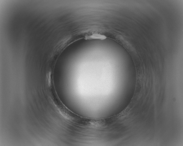 X0000062860070200601271541