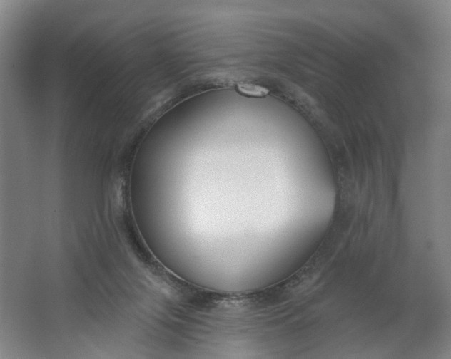 X0000062860071200601271541
