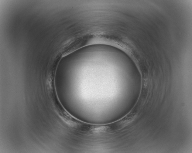 X0000062860072200601271541